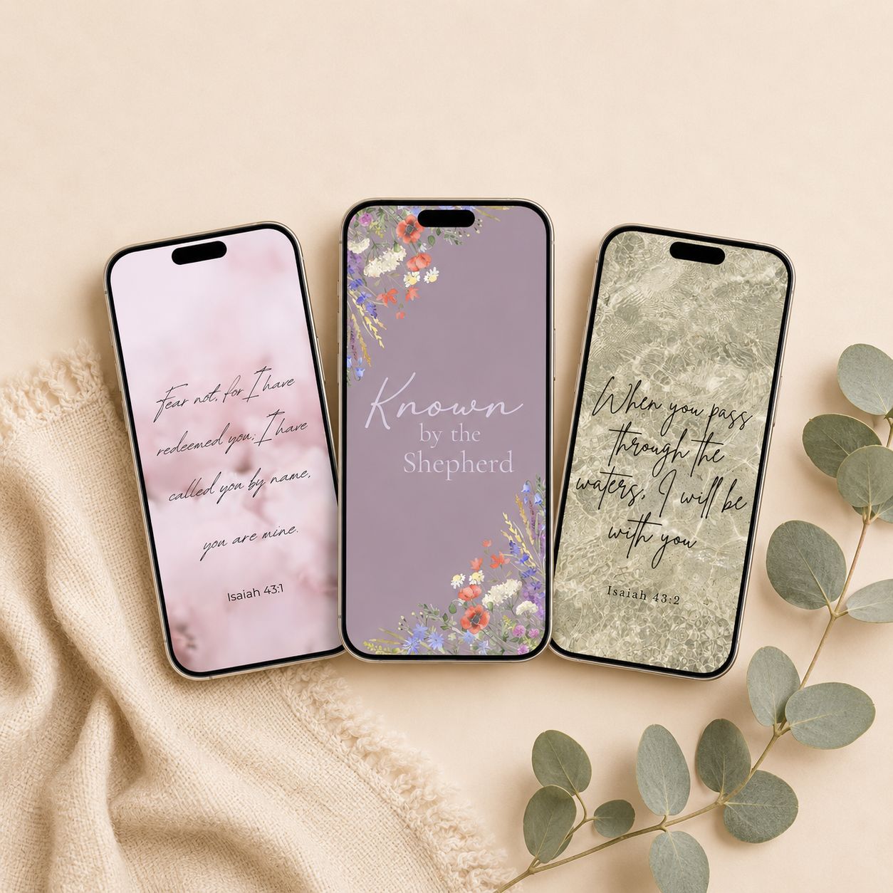 Free Downloads & Printables