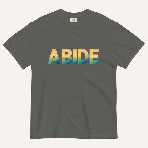 A dark gray crewneck t-shirt featuring the word 'ABIDE' printed across the chest in a textured, multi-colored gradient pattern of yellow, orange, and blue, displayed on a light cream background.