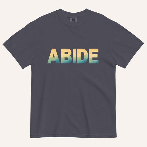 A dark gray crewneck t-shirt featuring the word 'ABIDE' printed across the chest in a bold sans-serif font with a vertical gradient transitioning from yellow to green and blue. The t-shirt is displayed flat against a light cream background.