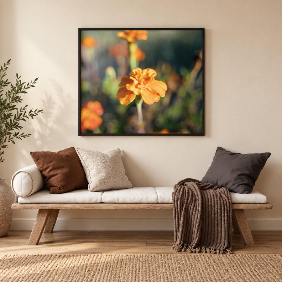 an orange flower in a frame in a living room hanging on the wall above a couch