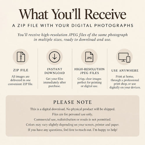 a "What you'll recieve" image for photography including 'zip file', 'instant download', 'high resolution JPEG File', and 'Use anywhere' text